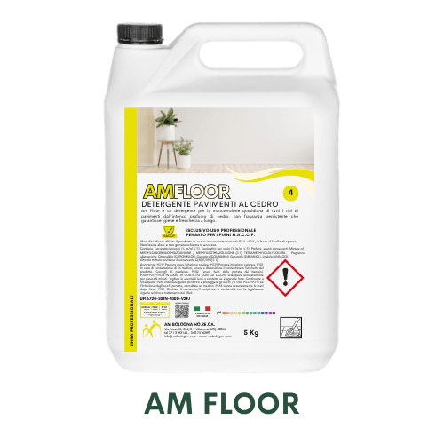 AM Floor icona